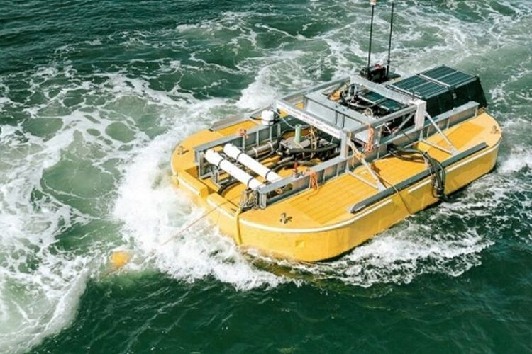 From Seawater to Drinkable Water Using Wave Power